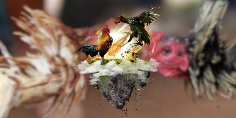 Các Ưu Đãi, Khuyến Mãi Khi Tham Gia Đá Gà Casino Campuchia Tại BU88