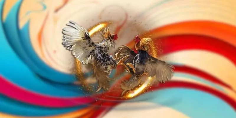 Đá gà casino Campuchia hấp dẫn tại BU88