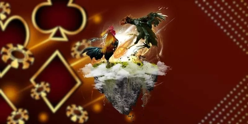 Hướng dẫn tham gia đá gà casino Campuchia tại BU88